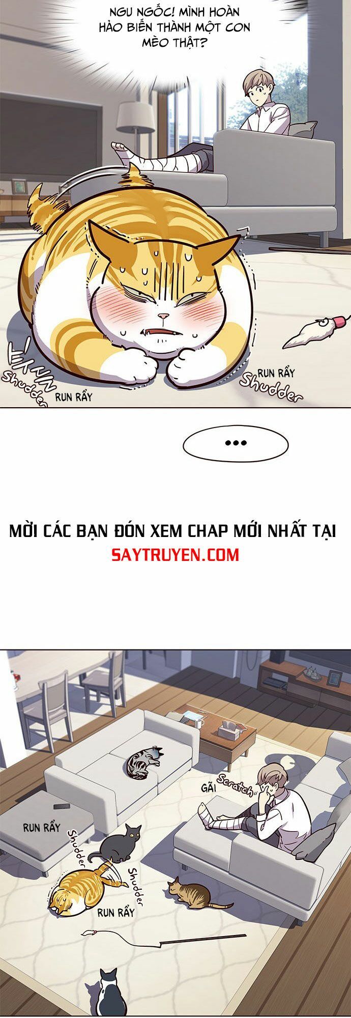 Hoá Thân Thành Mèo Chap 16 - Next Chap 17