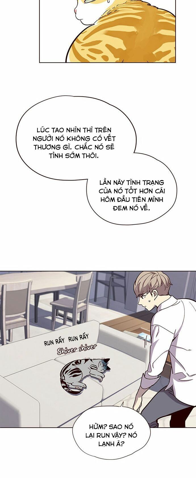 Hoá Thân Thành Mèo Chap 16 - Next Chap 17
