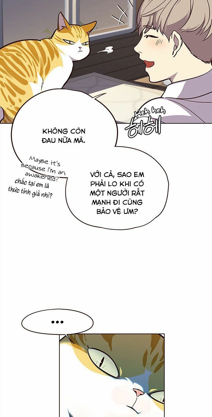 Hoá Thân Thành Mèo Chap 16 - Next Chap 17