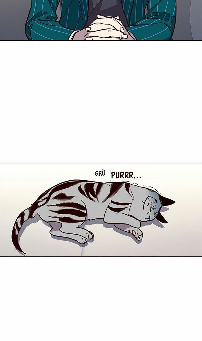 Hoá Thân Thành Mèo Chap 16 - Next Chap 17