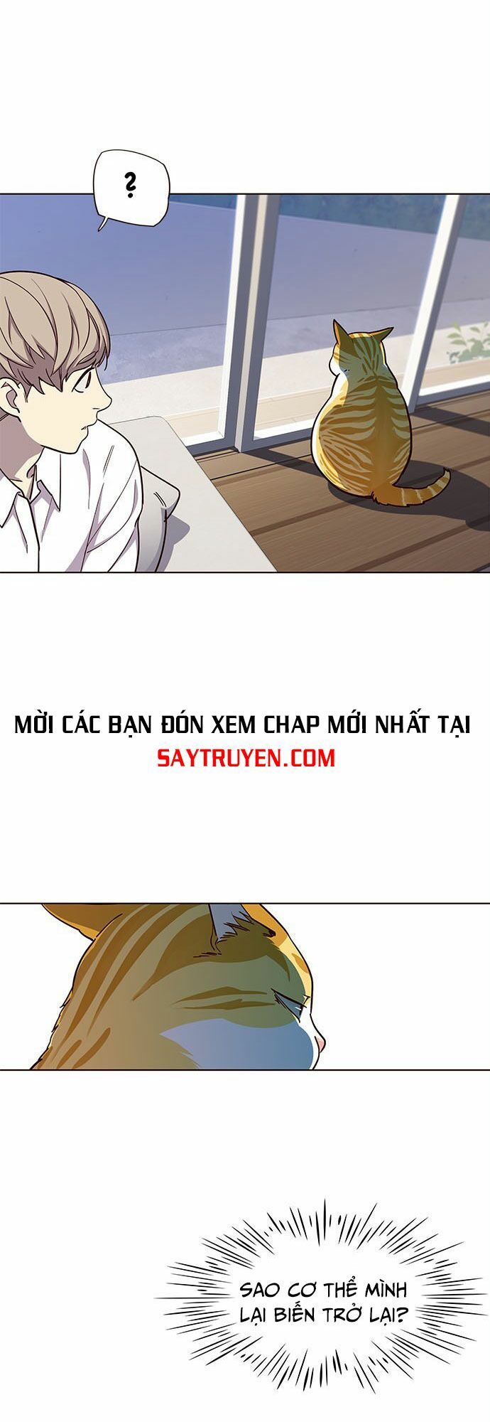 Hoá Thân Thành Mèo Chap 16 - Next Chap 17