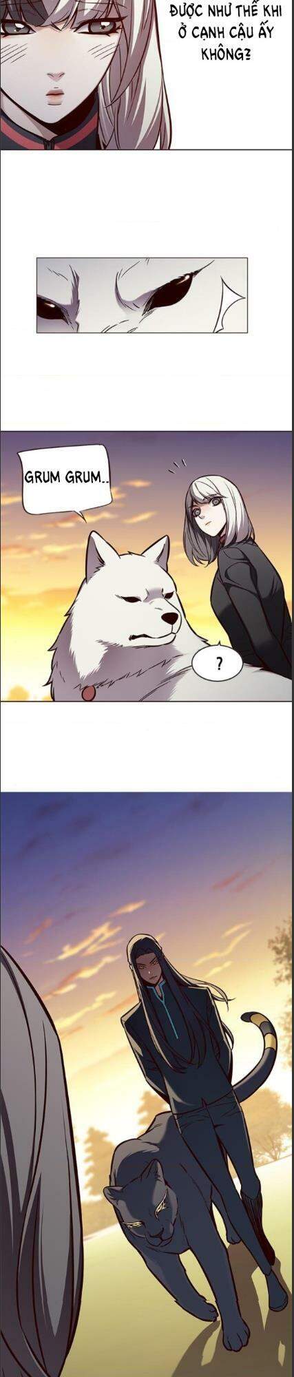 Hoá Thân Thành Mèo Chap 161 - Next Chap 162