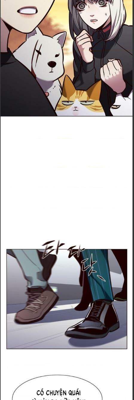 Hoá Thân Thành Mèo Chap 162 - Next Chap 163