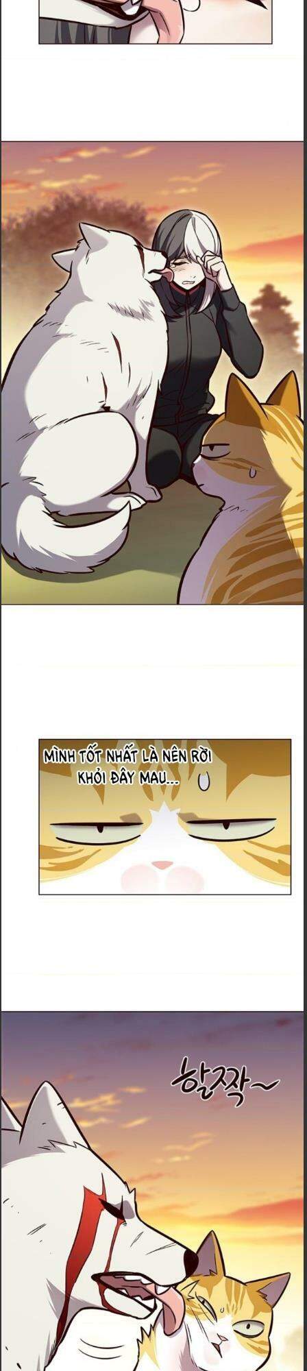 Hoá Thân Thành Mèo Chap 162 - Next Chap 163