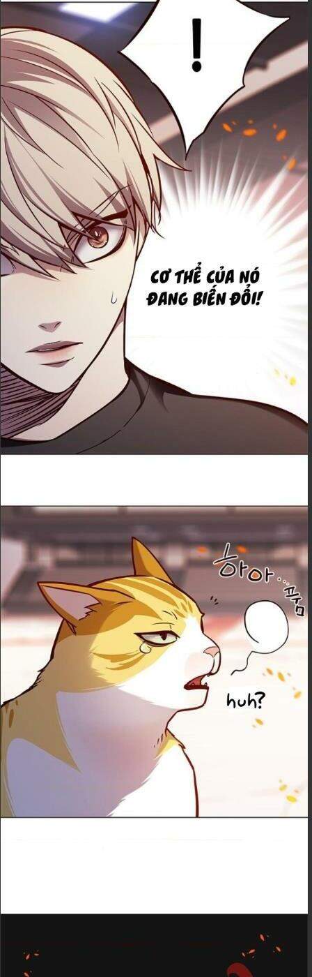 Hoá Thân Thành Mèo Chap 162 - Next Chap 163