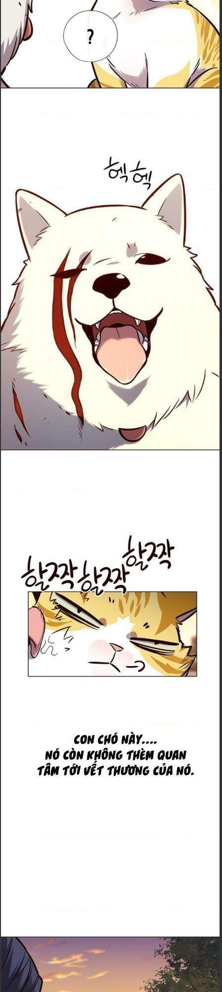 Hoá Thân Thành Mèo Chap 162 - Next Chap 163