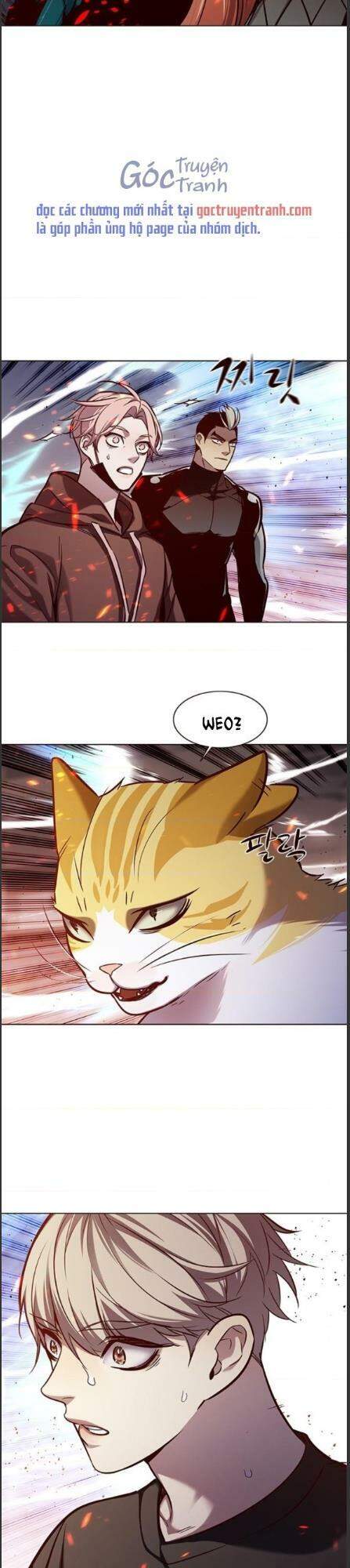 Hoá Thân Thành Mèo Chap 162 - Next Chap 163