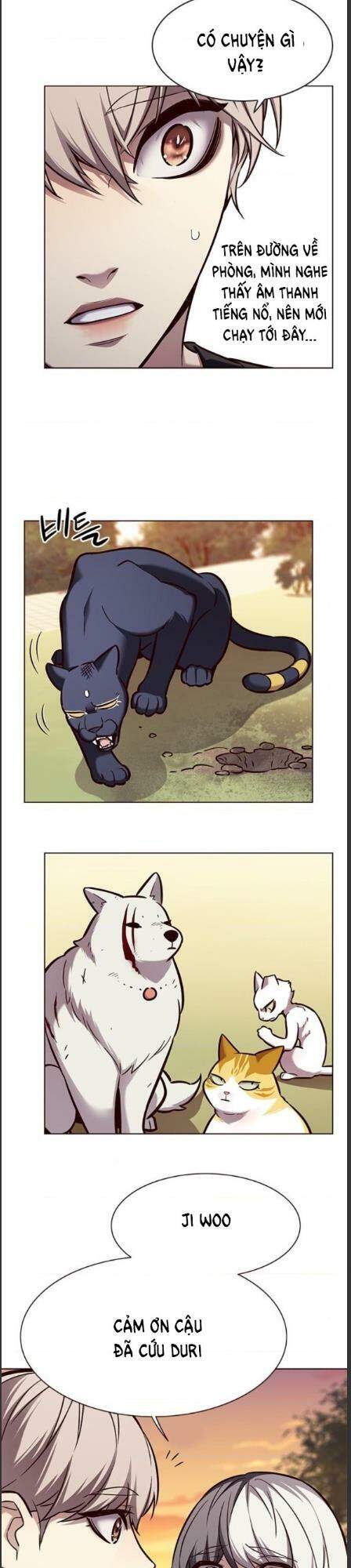 Hoá Thân Thành Mèo Chap 162 - Next Chap 163