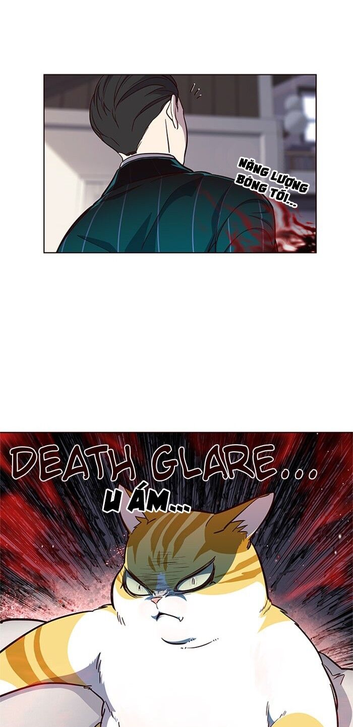 Hoá Thân Thành Mèo Chap 17 - Next Chap 18