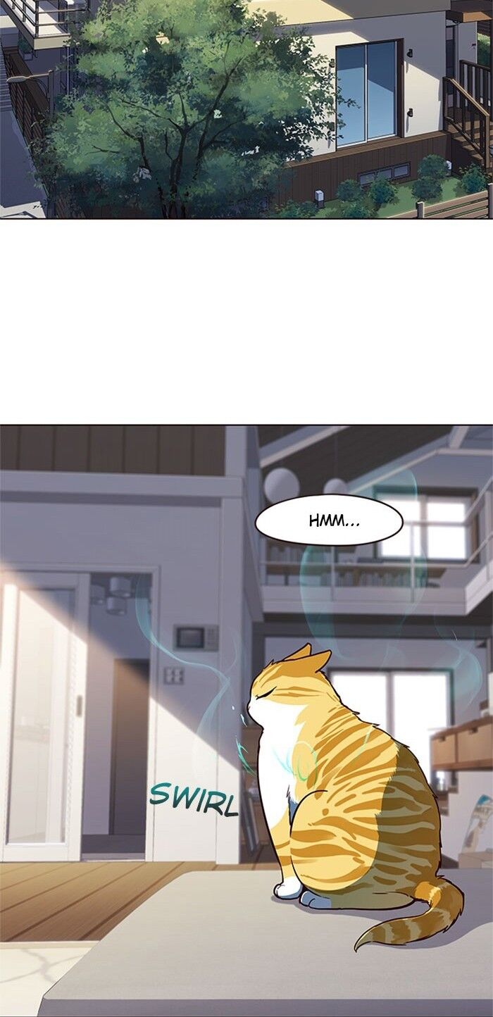 Hoá Thân Thành Mèo Chap 17 - Next Chap 18