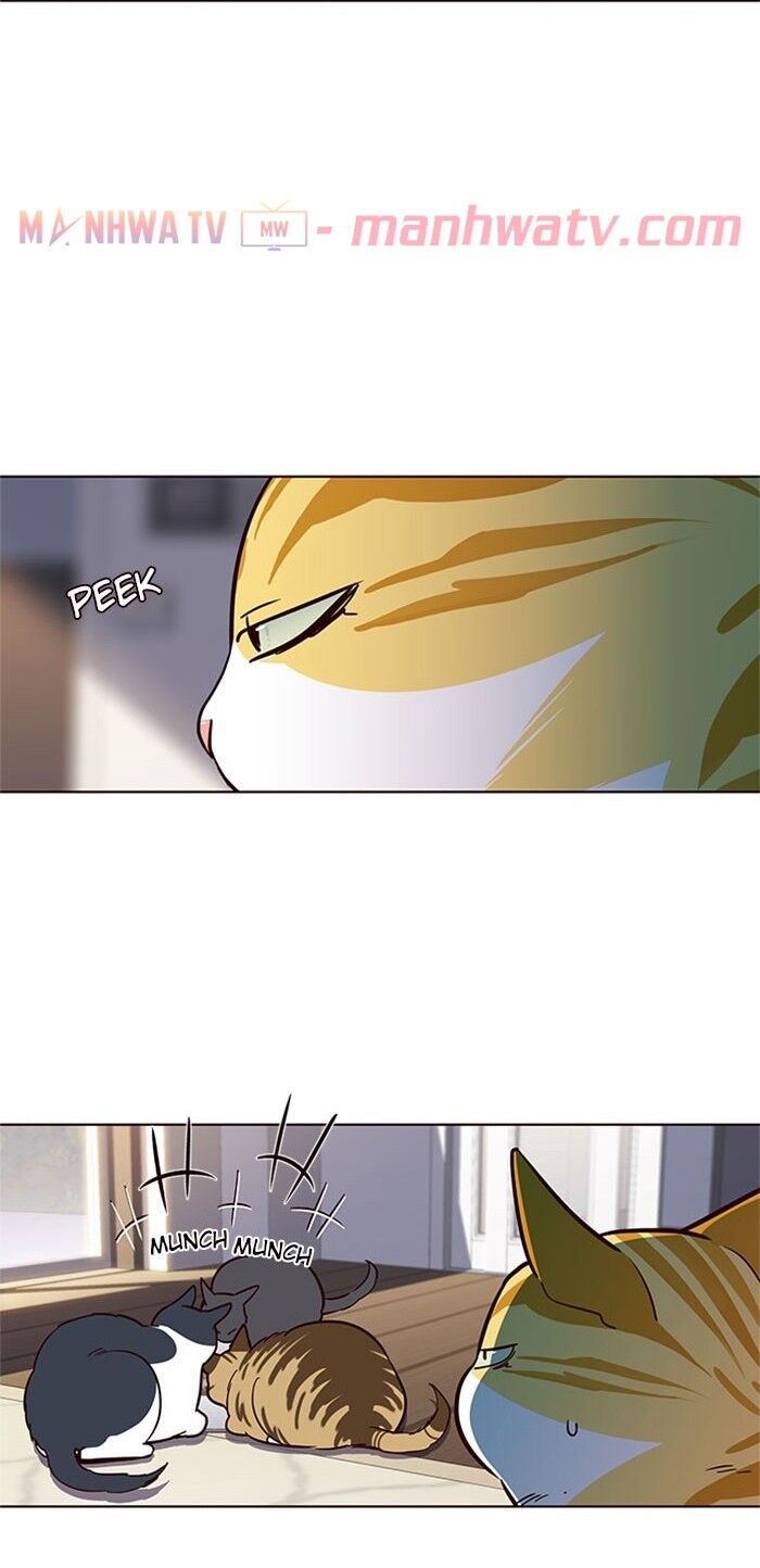 Hoá Thân Thành Mèo Chap 17 - Next Chap 18