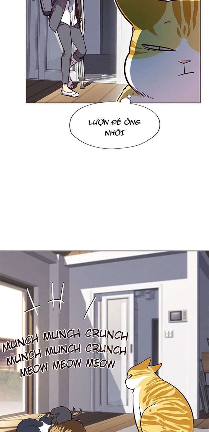 Hoá Thân Thành Mèo Chap 17 - Next Chap 18