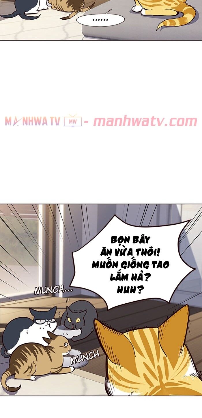 Hoá Thân Thành Mèo Chap 17 - Next Chap 18
