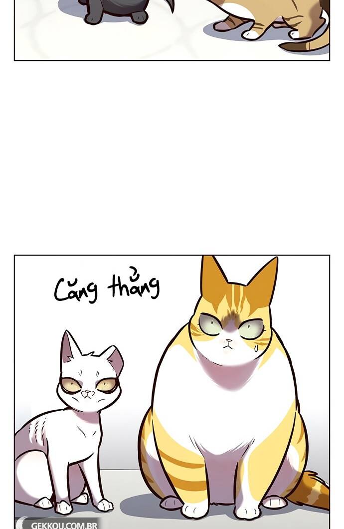 Hoá Thân Thành Mèo Chap 188 - Next Chap 189