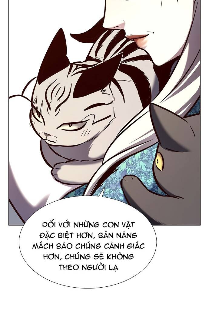 Hoá Thân Thành Mèo Chap 188 - Next Chap 189