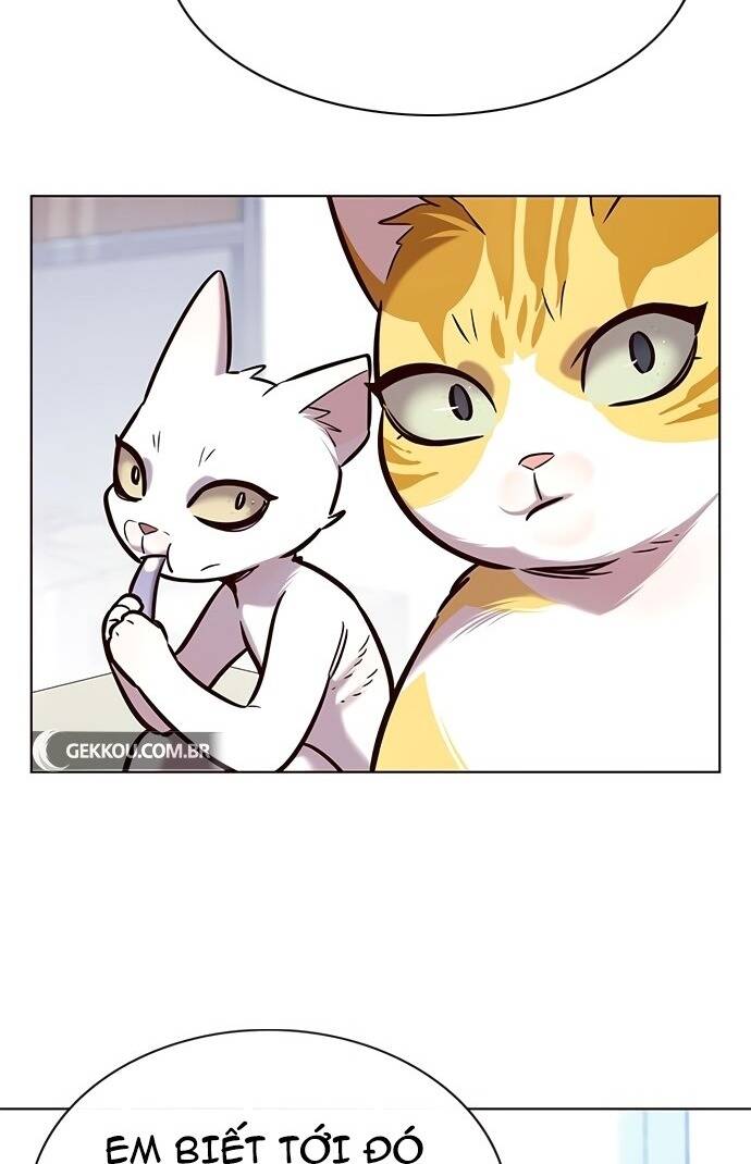 Hoá Thân Thành Mèo Chap 189 - Next Chap 190