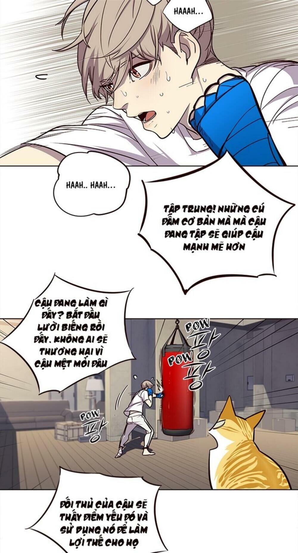 Hoá Thân Thành Mèo Chap 19 - Next Chap 20