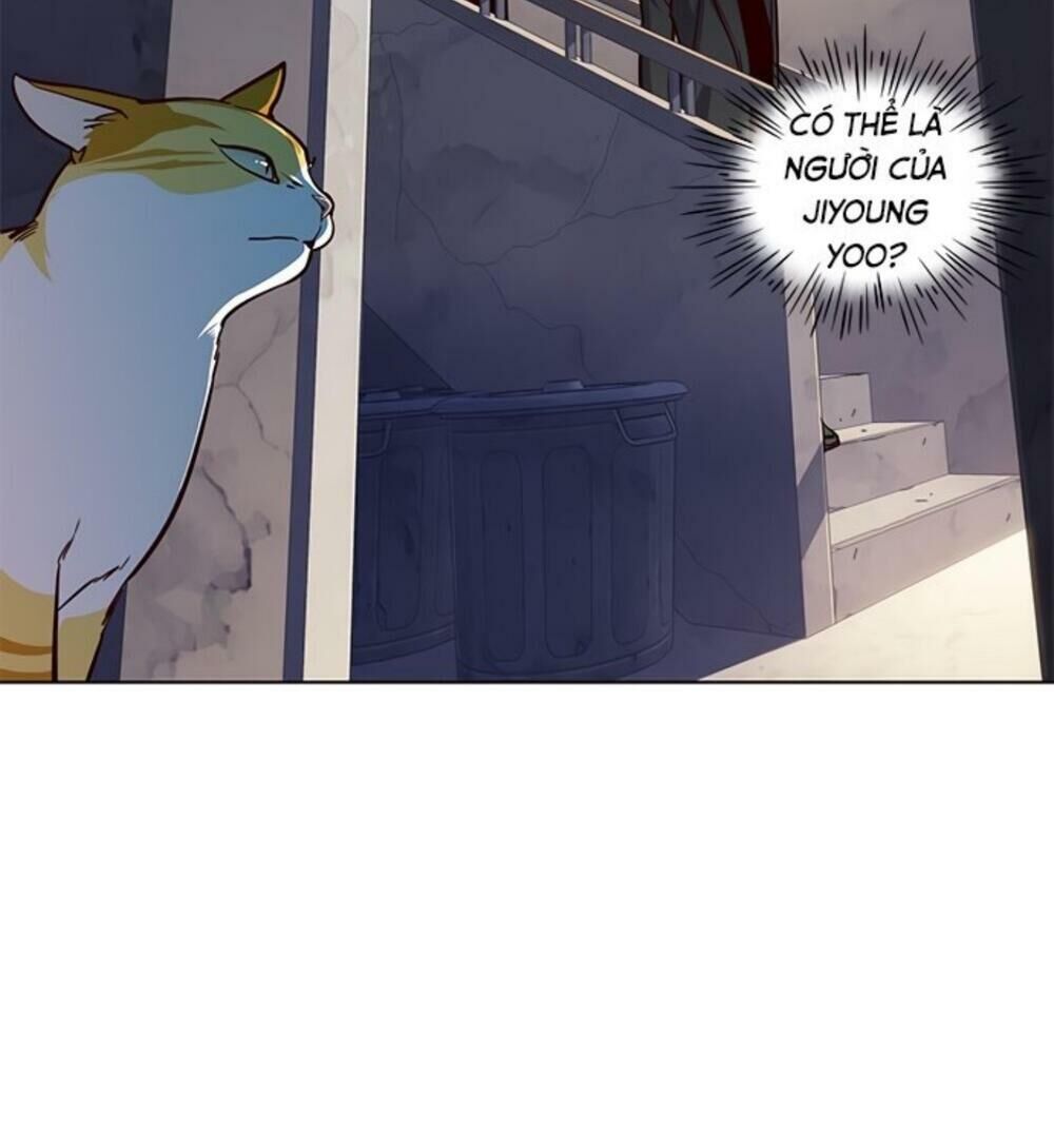 Hoá Thân Thành Mèo Chap 19 - Next Chap 20