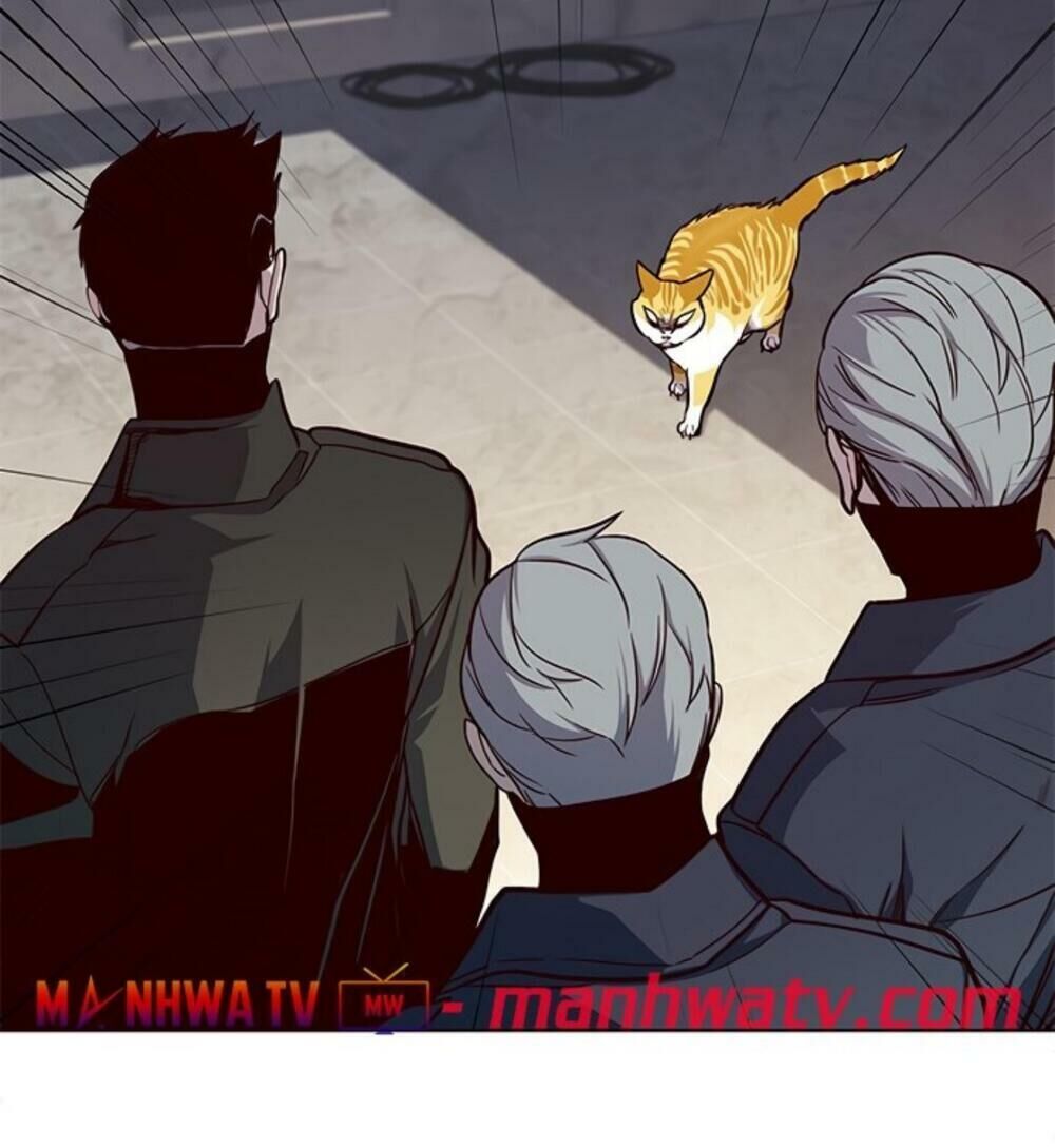 Hoá Thân Thành Mèo Chap 19 - Next Chap 20