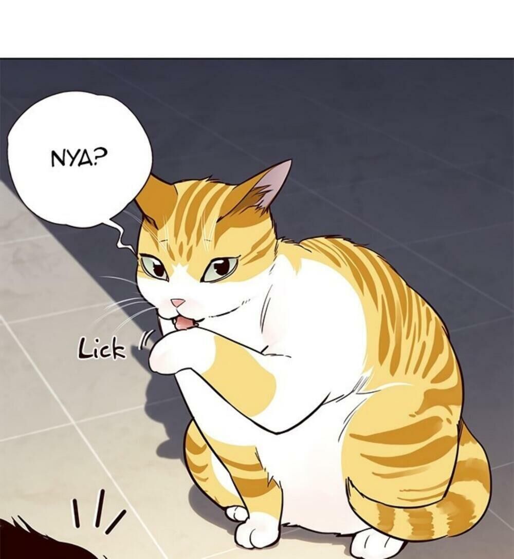 Hoá Thân Thành Mèo Chap 19 - Next Chap 20