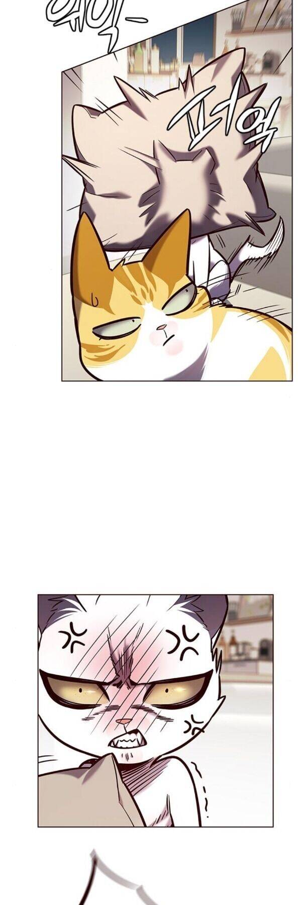 Hoá Thân Thành Mèo Chap 190 - Next Chap 191