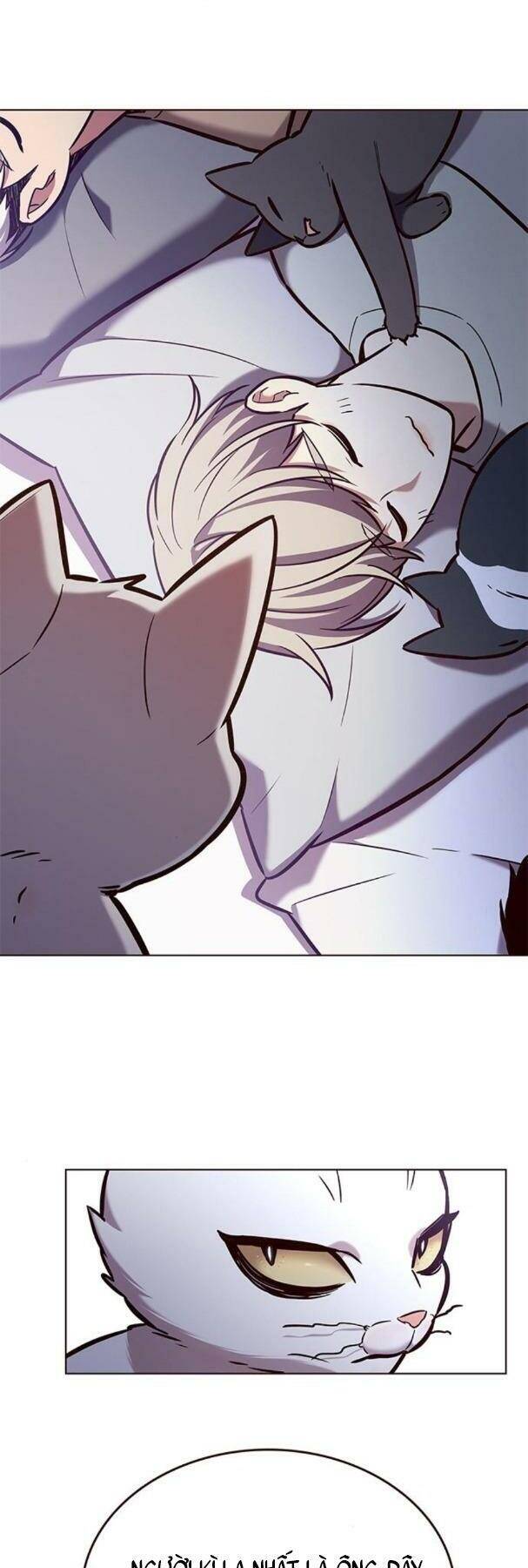Hoá Thân Thành Mèo Chap 190 - Next Chap 191