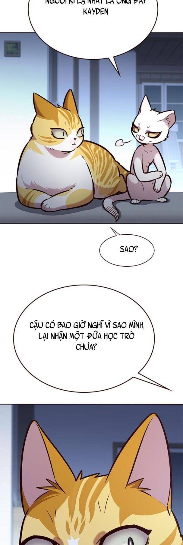 Hoá Thân Thành Mèo Chap 190 - Next Chap 191