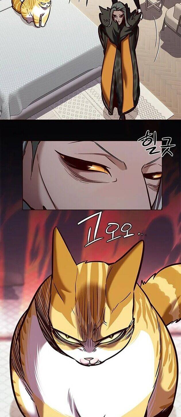 Hoá Thân Thành Mèo Chap 196 - Next Chap 197