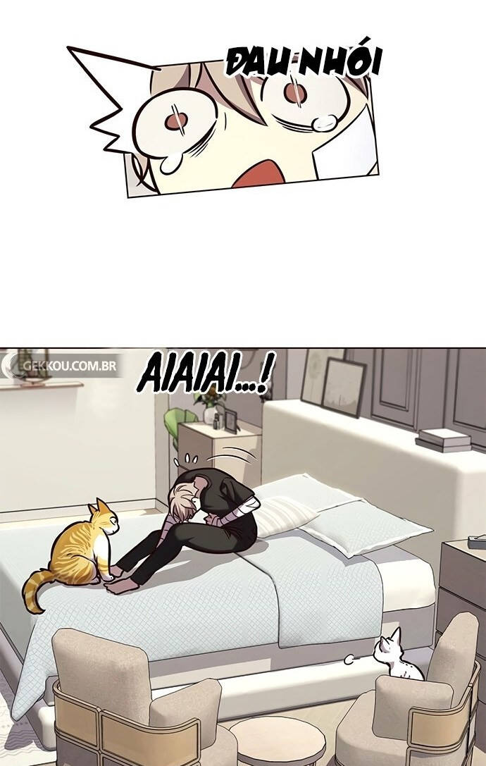 Hoá Thân Thành Mèo Chap 199 - Next Chap 200