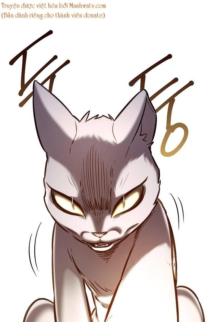 Hoá Thân Thành Mèo Chap 199 - Next Chap 200