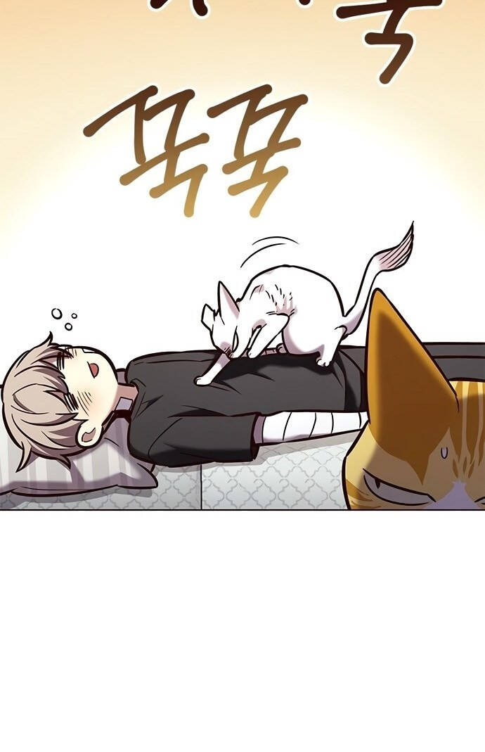 Hoá Thân Thành Mèo Chap 199 - Next Chap 200