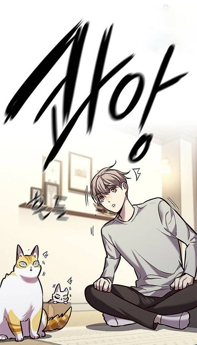 Hoá Thân Thành Mèo Chap 220 - Next Chap 221