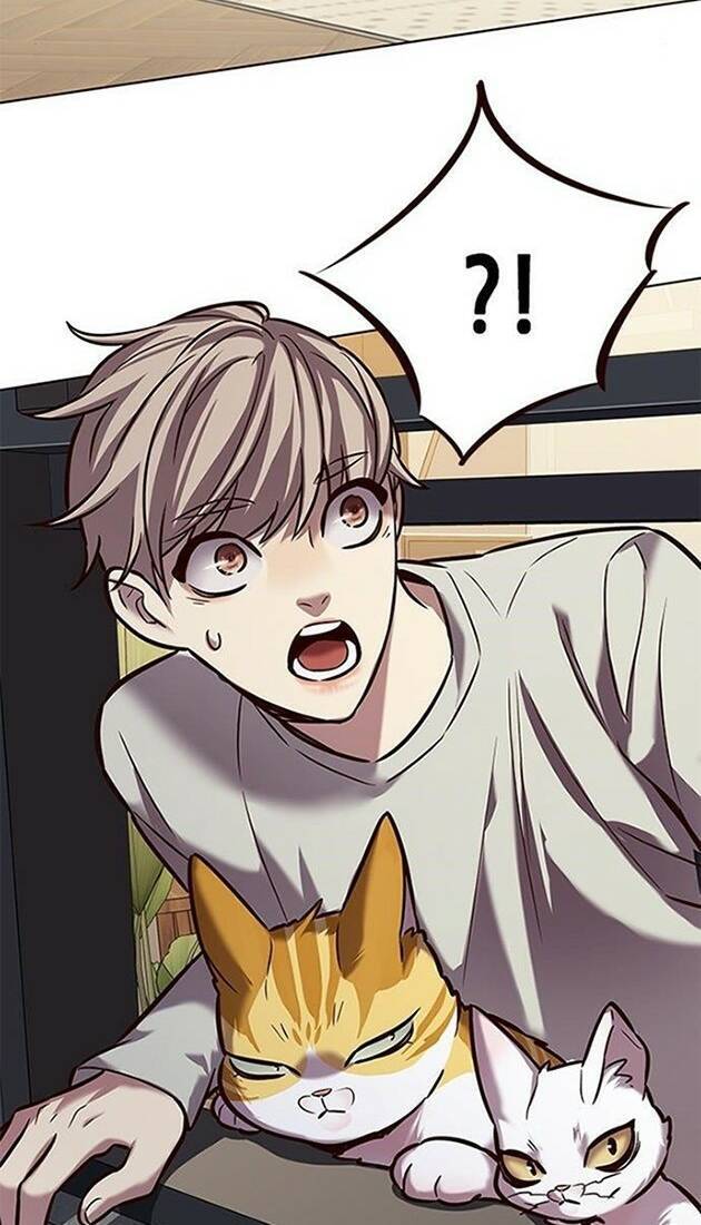 Hoá Thân Thành Mèo Chap 220 - Next Chap 221