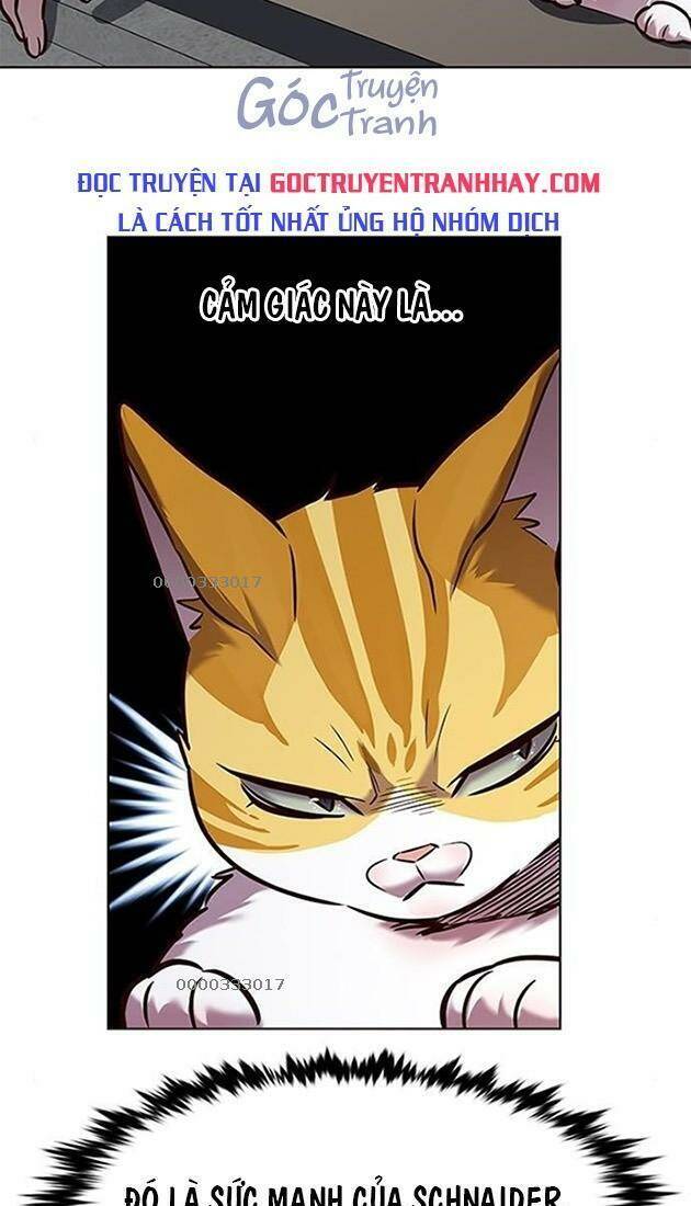 Hoá Thân Thành Mèo Chap 220 - Next Chap 221
