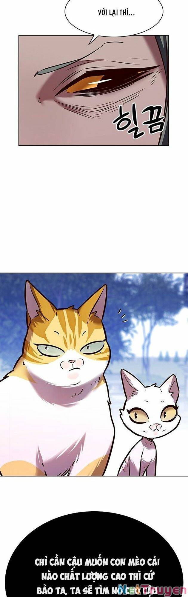 Hoá Thân Thành Mèo Chap 222 - Next Chap 223
