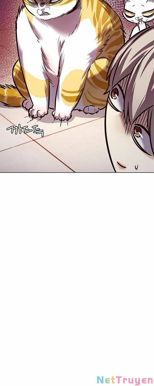Hoá Thân Thành Mèo Chap 222 - Next Chap 223