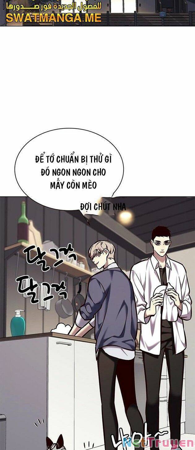 Hoá Thân Thành Mèo Chap 223 - Next Chap 224