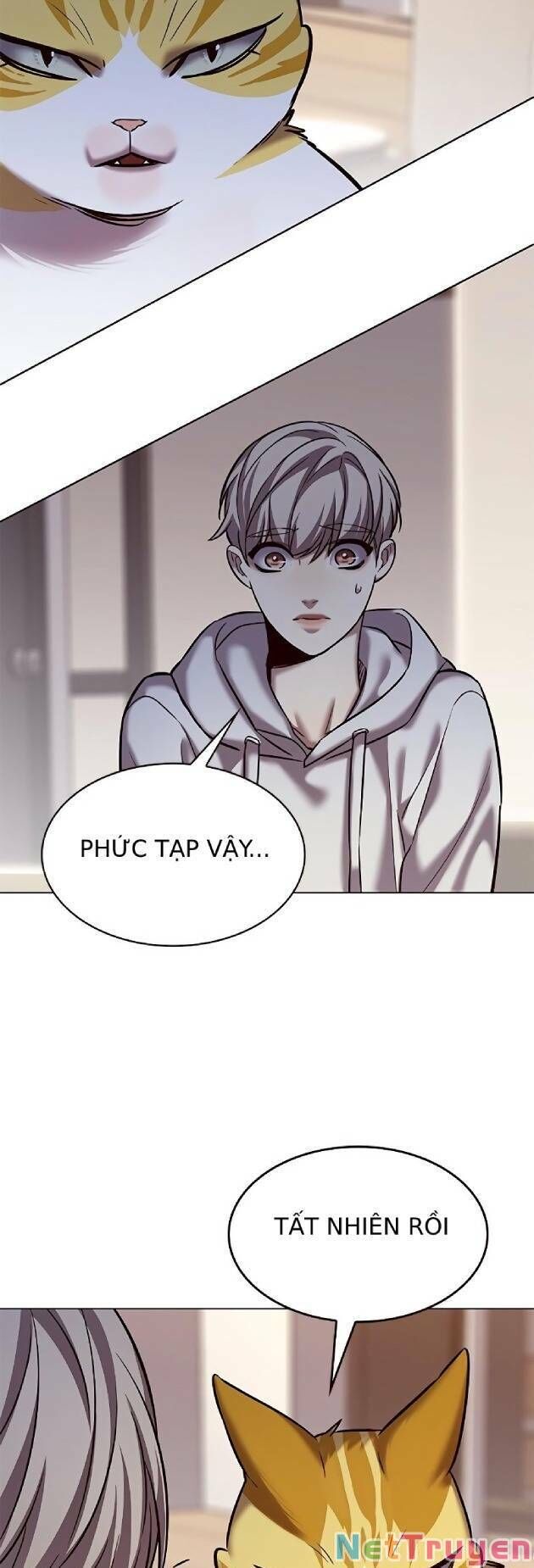 Hoá Thân Thành Mèo Chap 239 - Next Chap 240