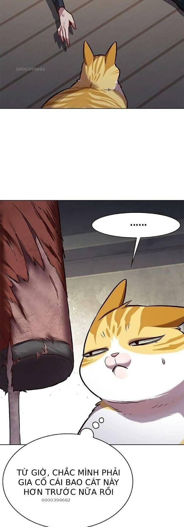 Hoá Thân Thành Mèo Chap 241 - Next Chap 242
