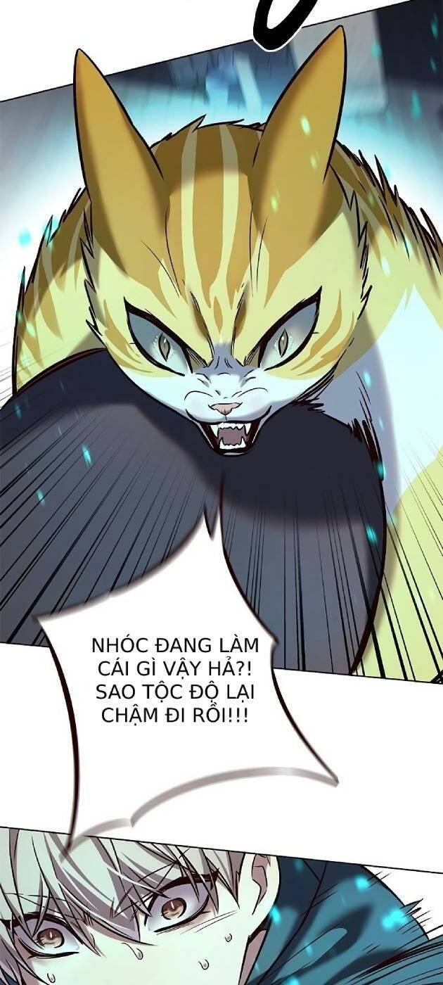 Hoá Thân Thành Mèo Chap 2411 - Next Chap 2412