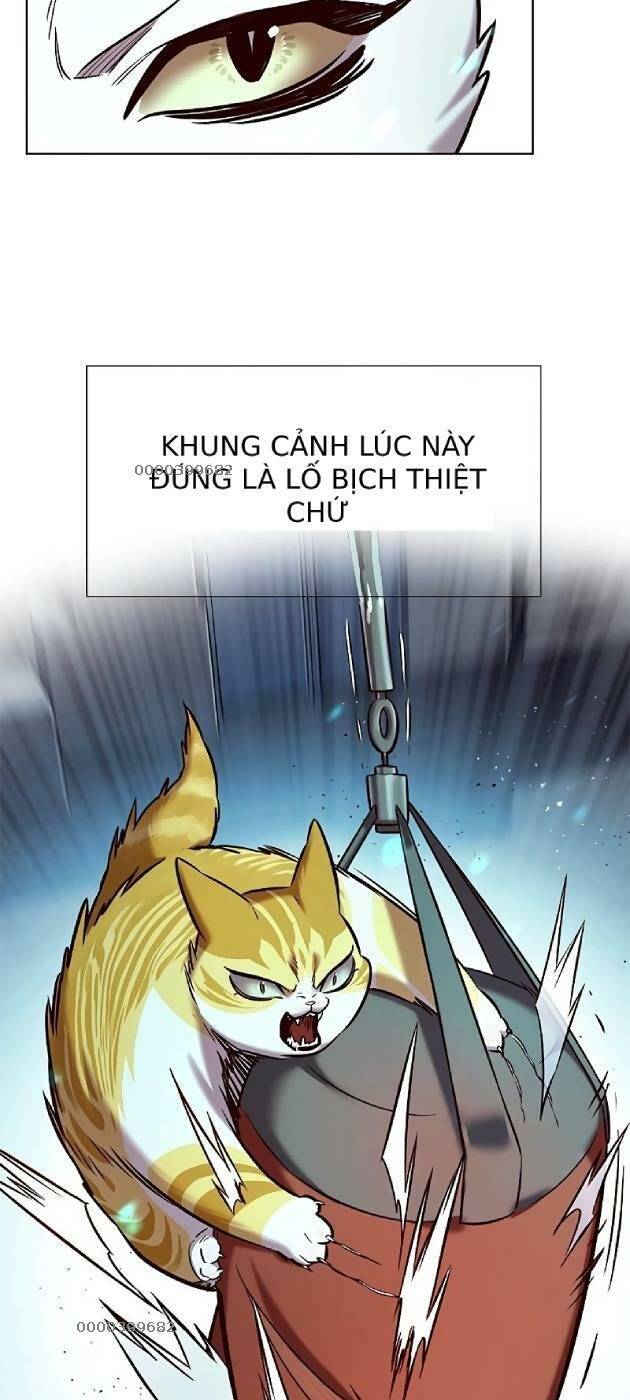 Hoá Thân Thành Mèo Chap 2411 - Next Chap 2412
