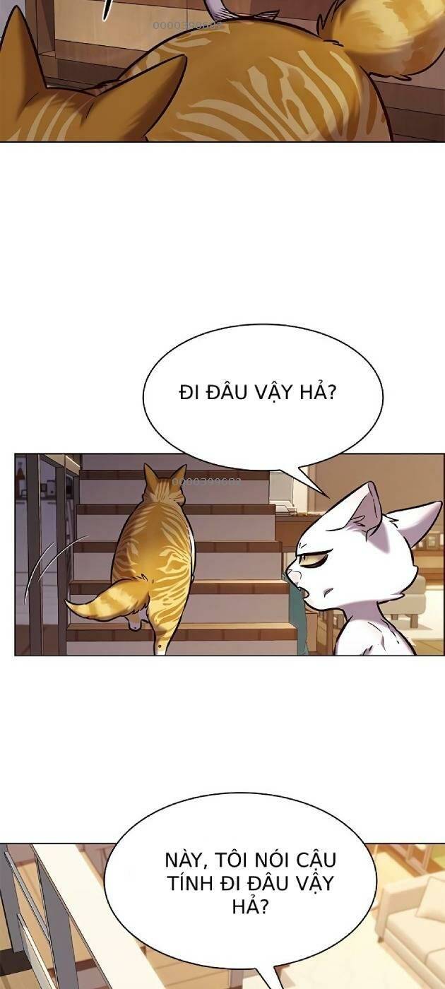 Hoá Thân Thành Mèo Chap 2411 - Next Chap 2412