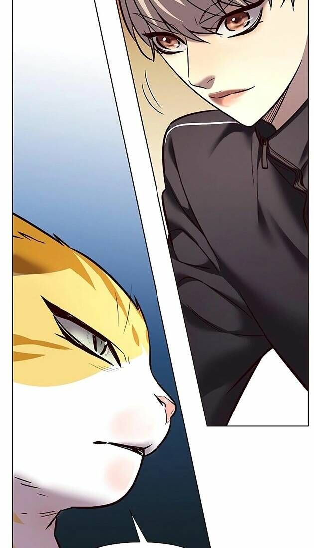 Hoá Thân Thành Mèo Chap 242 - Next Chap 243