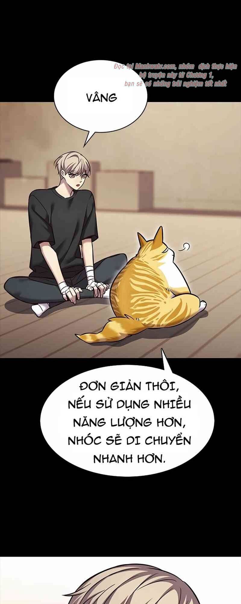 Hoá Thân Thành Mèo Chap 244 - Next Chap 245