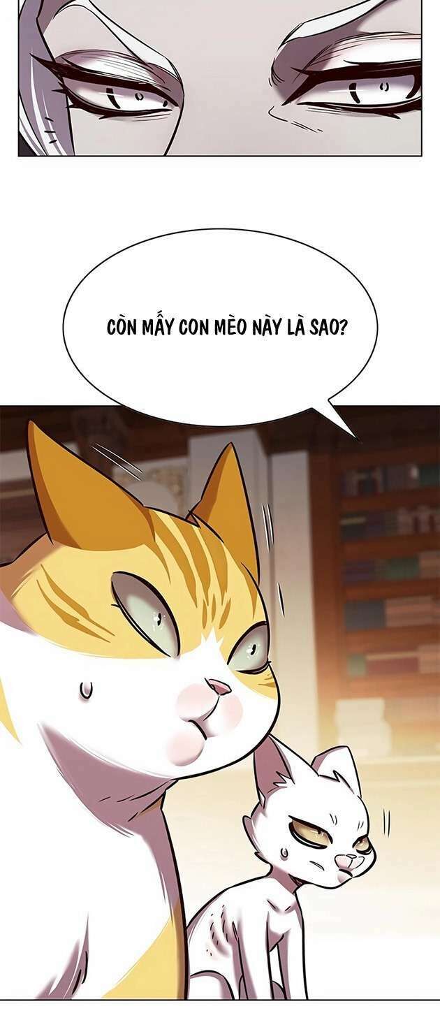 Hoá Thân Thành Mèo Chap 245 - Next Chap 246