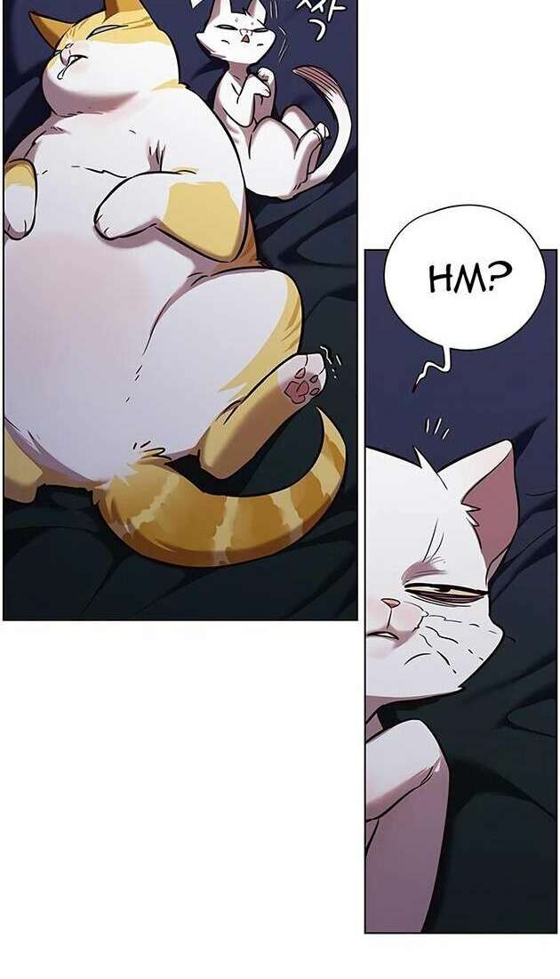 Hoá Thân Thành Mèo Chap 246 - Next Chap 247