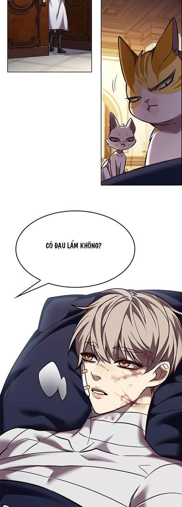 Hoá Thân Thành Mèo Chap 253 - Next Chap 254