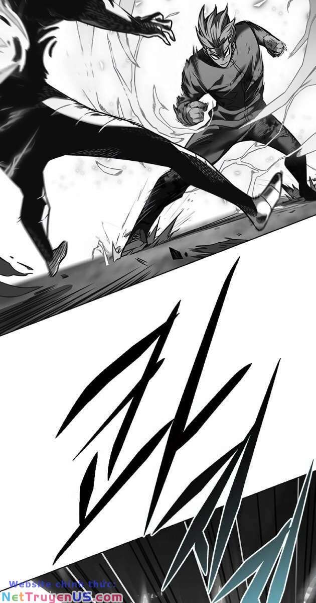 Hoá Thân Thành Mèo Chap 261 - Next Chap 262