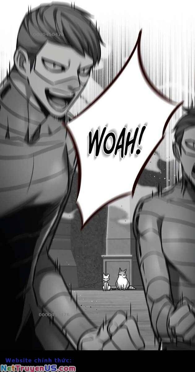 Hoá Thân Thành Mèo Chap 261 - Next Chap 262