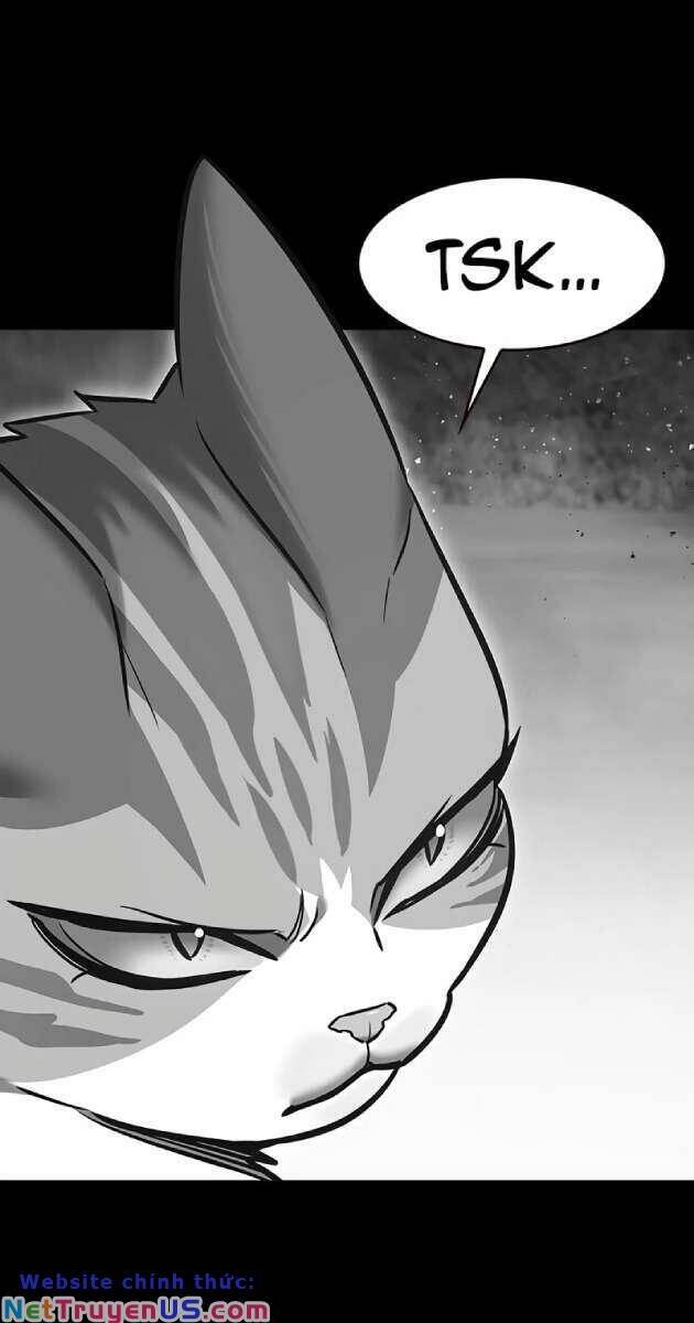 Hoá Thân Thành Mèo Chap 261 - Next Chap 262